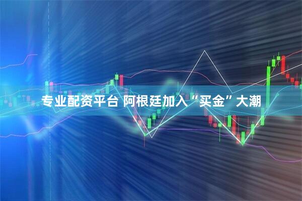 专业配资平台 阿根廷加入“买金”大潮